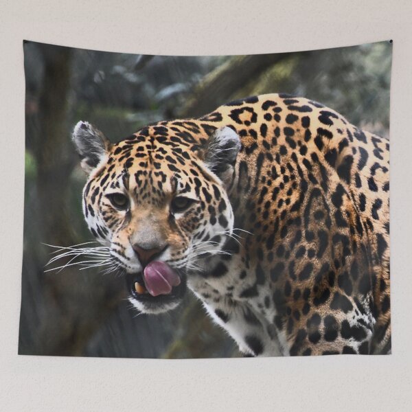 Item preview, Jaguar Portrait – Fascinating gaze and majestic presence / Swiss Artwork Photography designed and sold by Raphael Wolf.