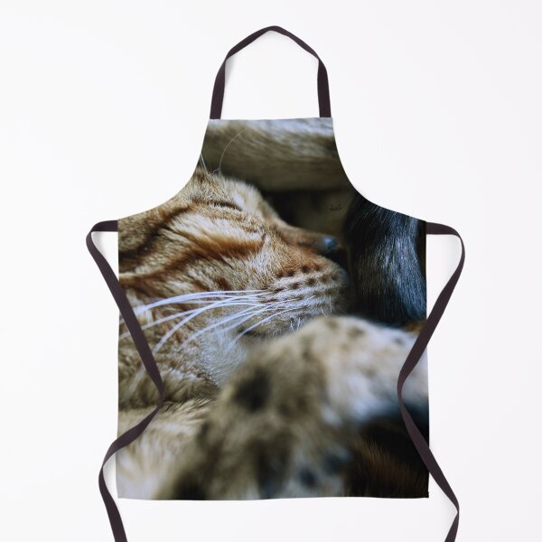 Artikelvorschau, Bengal-Katze – Kuscheliges Knäuel der Ruhe / Schweizer Kunstfotografie entworfen und verkauft von Raphael Wolf.