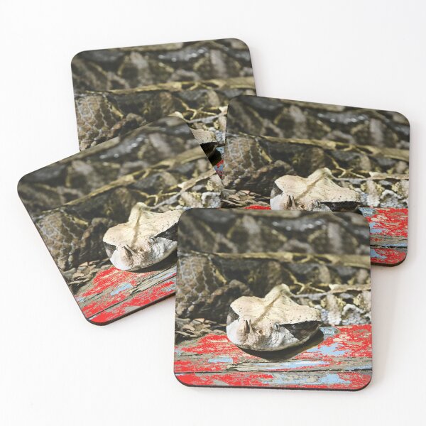 Item preview, Gaboon Viper – Majestic Presence in the Jungle / Swiss Artwork Photography designed and sold by Raphael Wolf.