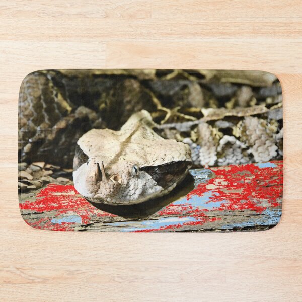 Item preview, Gaboon Viper – Majestic Presence in the Jungle / Swiss Artwork Photography designed and sold by Raphael Wolf.