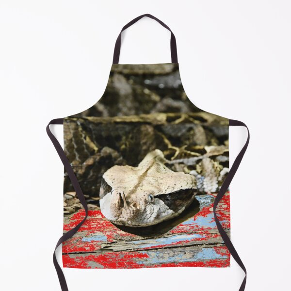 Item preview, Gaboon Viper – Majestic Presence in the Jungle / Swiss Artwork Photography designed and sold by Raphael Wolf.