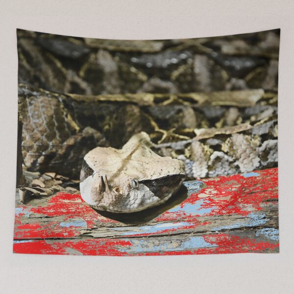 Item preview, Gaboon Viper – Majestic Presence in the Jungle / Swiss Artwork Photography designed and sold by Raphael Wolf.