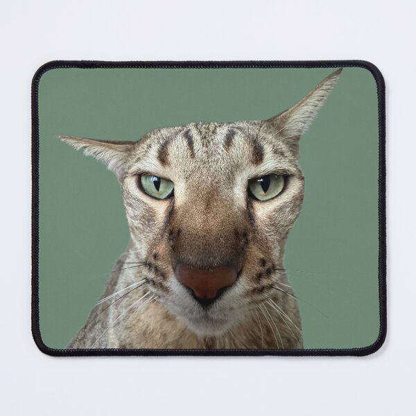 Item preview, Disappointed Savannah Cat - Epic Side-Eye Meme Portrait designed and sold by AiDigitalSanctum.