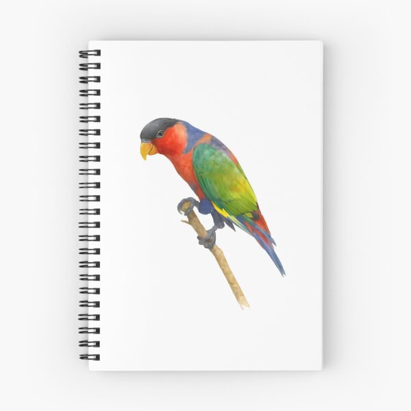 Item preview, Black-capped Lory (Lorius lory) designed and sold by HOMETOWN86.