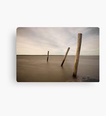 poles in time Metal Print