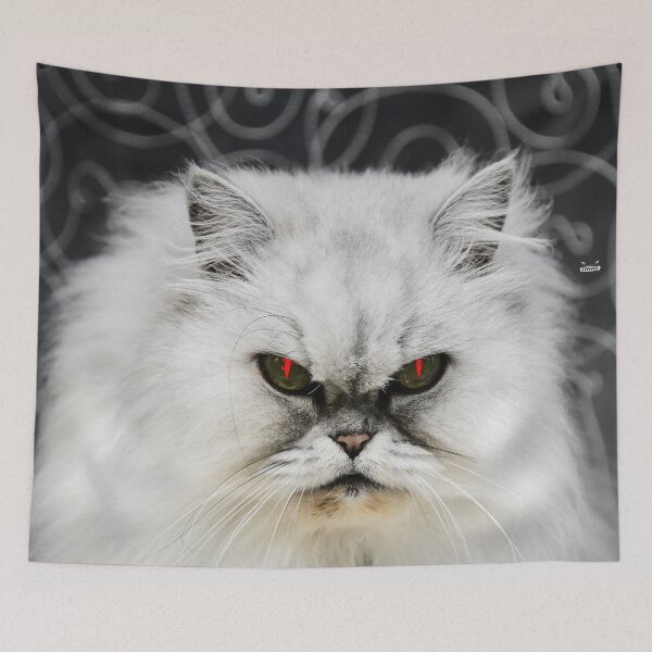 Item preview, Persian Cat – Devilish Gaze / Swiss Artwork Photography designed and sold by Raphael Wolf.