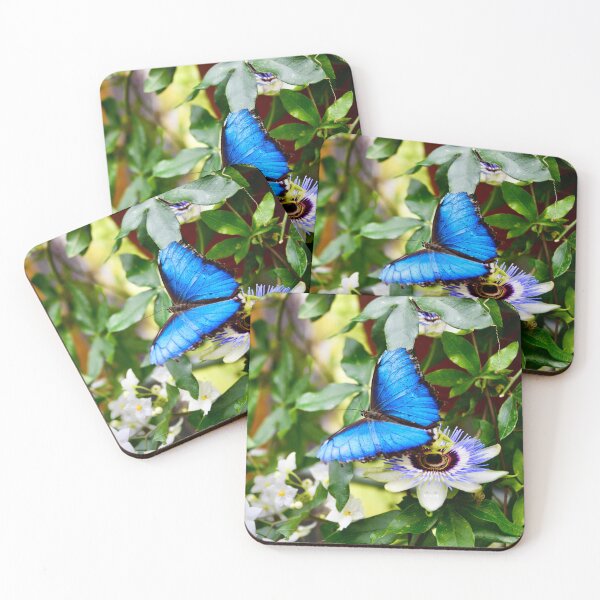Item preview, Morph butterfly on passionflower – Radiant natural splendor / Swiss Artwork Photography designed and sold by Raphael Wolf.