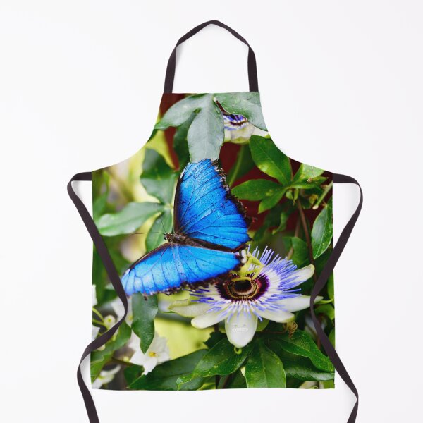 Item preview, Morph butterfly on passionflower – Radiant natural splendor / Swiss Artwork Photography designed and sold by Raphael Wolf.