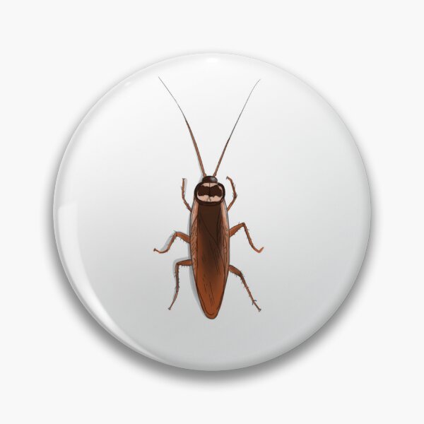 Item preview, Oriental European cockroach design designed and sold by yasm1nou.