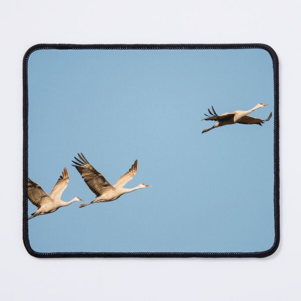 Item preview, Three Sandhill Cranes in Flight designed and sold by Debra Martz.