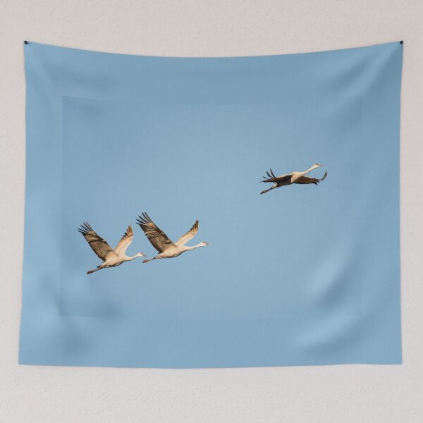 Item preview, Three Sandhill Cranes in Flight designed and sold by Debra Martz.