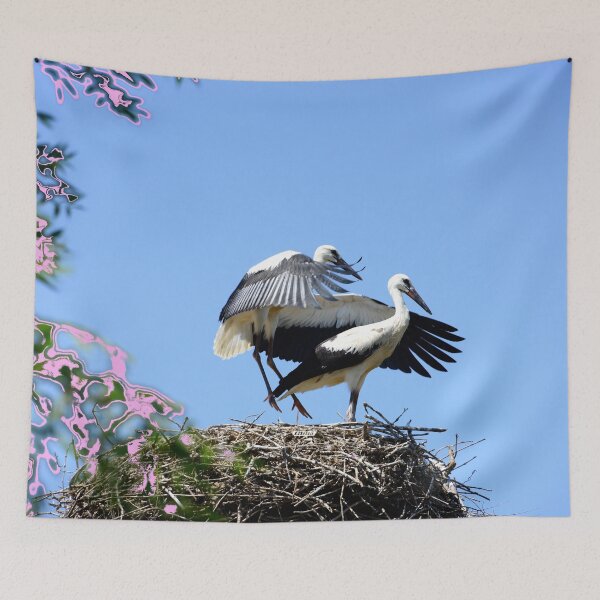Item preview, Stork pair in nest – grace and elegance of nature / Swiss Artwork Photography designed and sold by Raphael Wolf.
