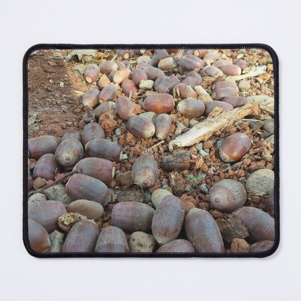 Item preview, Squirrel’s Abundance – Autumn Acorn Photography designed and sold by tracerammo1.