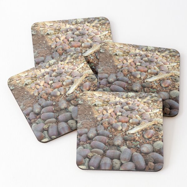 Item preview, Squirrel’s Abundance – Autumn Acorn Photography designed and sold by tracerammo1.