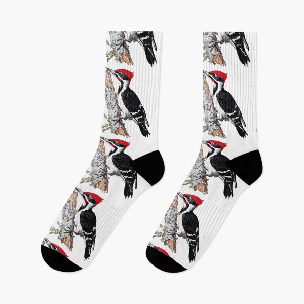 Item preview, Pileated Woodpecker Illustration designed and sold by Liededrom..