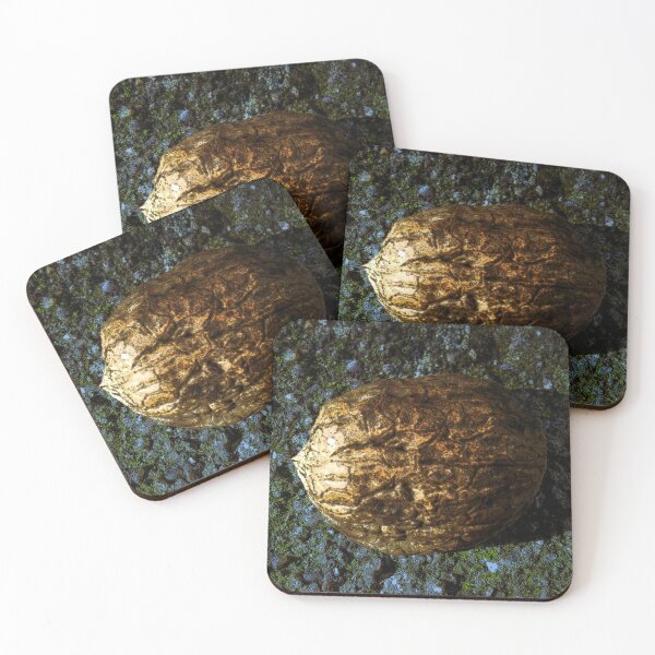 Item preview, Golden Nut Shell designed and sold by mavicfe.