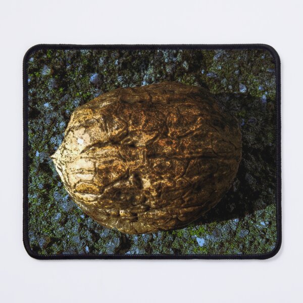 Item preview, Golden Nut Shell designed and sold by mavicfe.