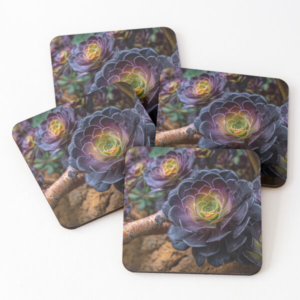 Item preview, Colorful succulents in garden designed and sold by anytka.