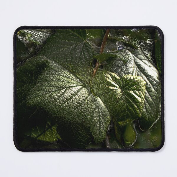 Item preview, Black Currant Leaves Embossed designed and sold by mavicfe.