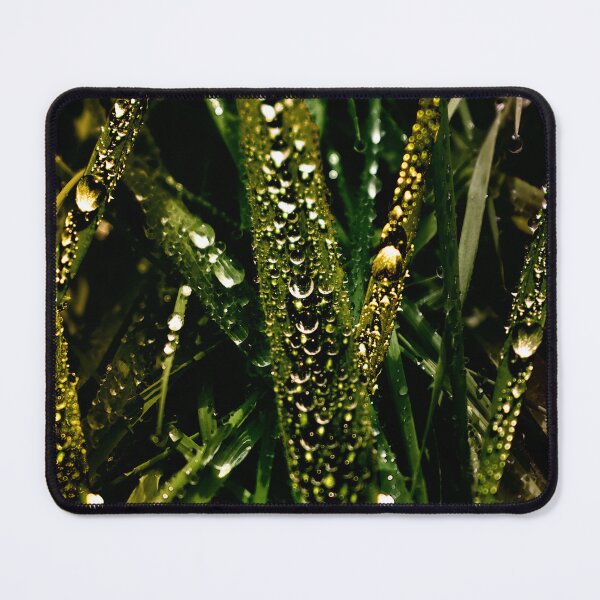 Item preview, Golden Drops of Dew designed and sold by mavicfe.