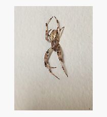 Uninvited Guest Photographic Print