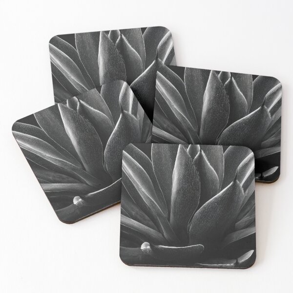 Item preview, BW close-up of agave plant designed and sold by anytka.
