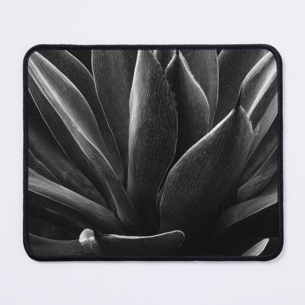 Item preview, BW close-up of agave plant designed and sold by anytka.