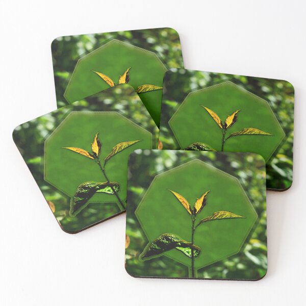 Item preview, Nature Background for Logo designed and sold by mavicfe.