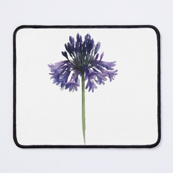 Item preview, Agapanthus ‘Black Pantha’ designed and sold by HOMETOWN86.