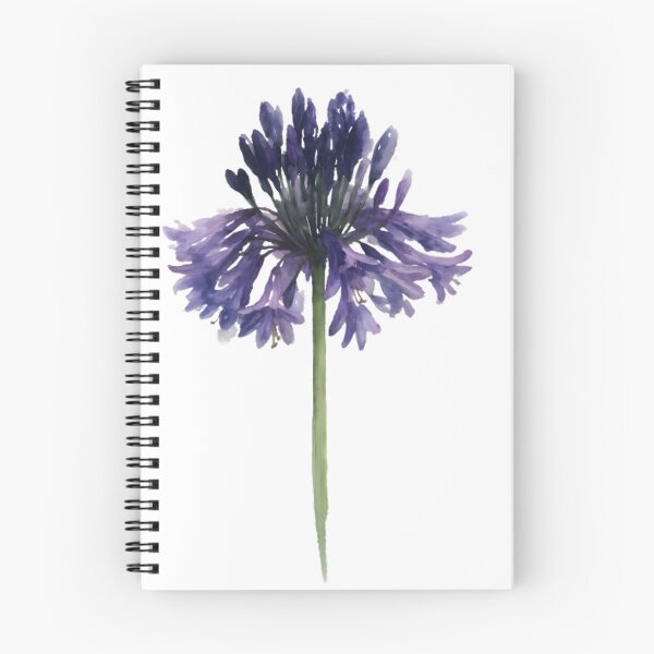 Item preview, Agapanthus ‘Black Pantha’ designed and sold by HOMETOWN86.