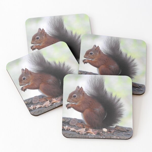 Item preview, Close view of Red Squirrel with a chestnut designed and sold by TwistedClassics.