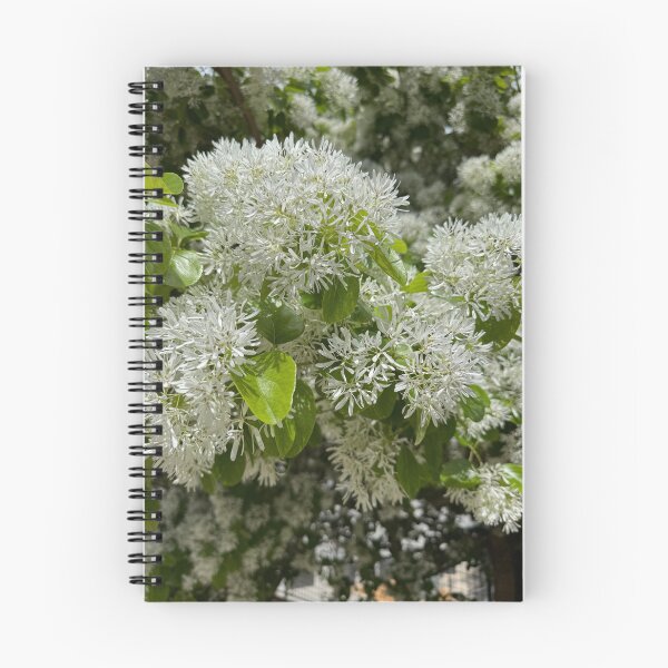 Item preview, Soft White Petals in Full Bloom designed and sold by royalswin.