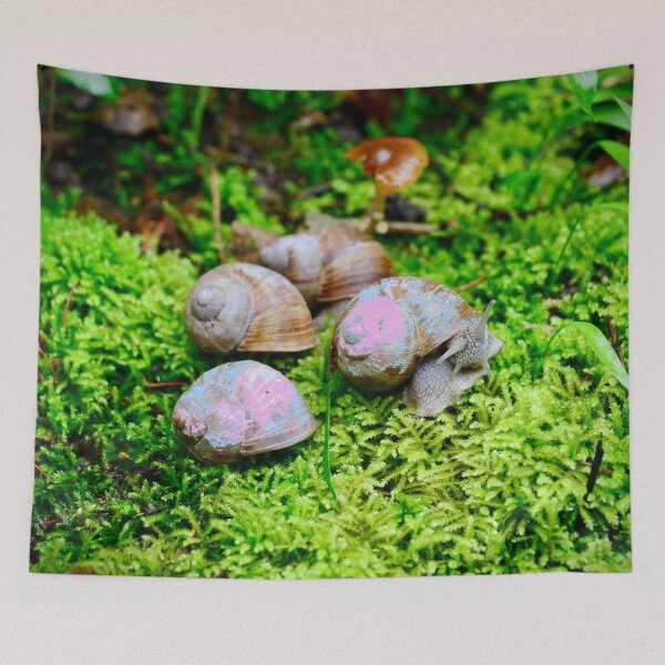 Item preview, Four vineyard snails in the forest – peace and connection to nature / Swiss Artwork Photography designed and sold by Raphael Wolf.