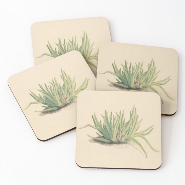 Item preview, Aloe Botanical designed and sold by BlueSpecsStudio.