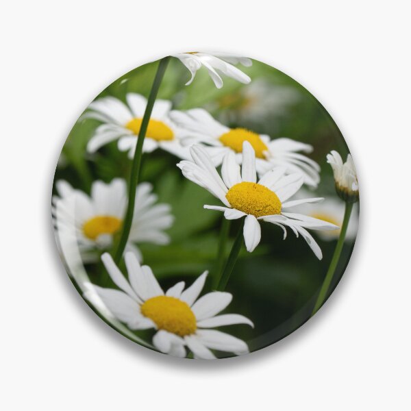 Item preview, Daisy Flowers designed and sold by HectorCantres.