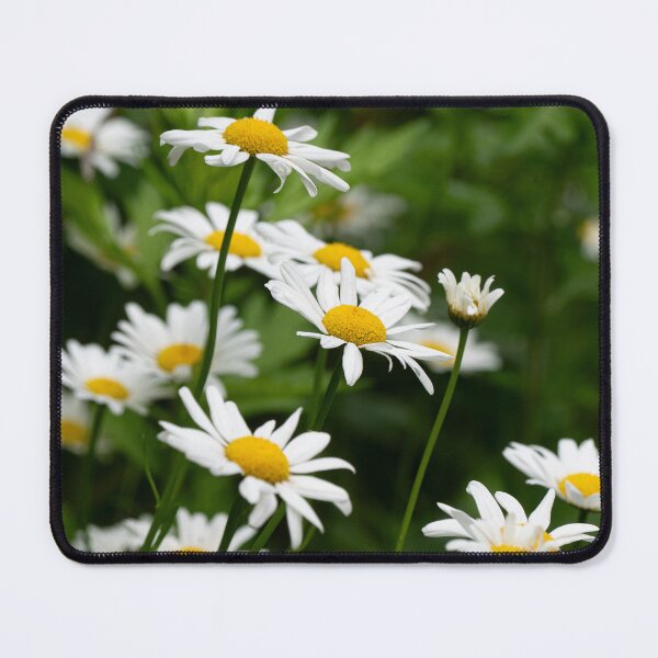Item preview, Daisy Flowers designed and sold by HectorCantres.