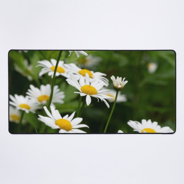 Item preview, Daisy Flowers designed and sold by HectorCantres.