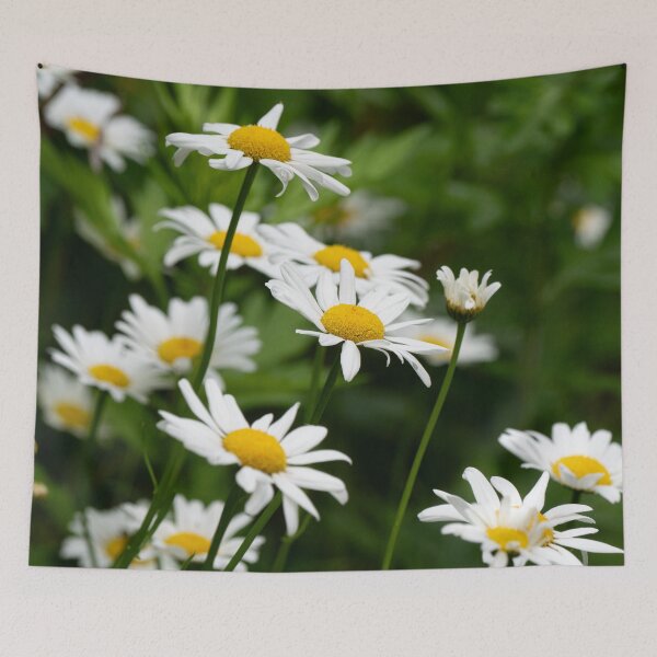 Item preview, Daisy Flowers designed and sold by HectorCantres.