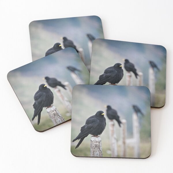 Item preview, Three Alpine Choughs – Resilience in the Swiss Alps / Swiss Art Photography designed and sold by Raphael Wolf.