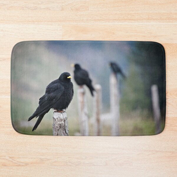 Item preview, Three Alpine Choughs – Resilience in the Swiss Alps / Swiss Art Photography designed and sold by Raphael Wolf.