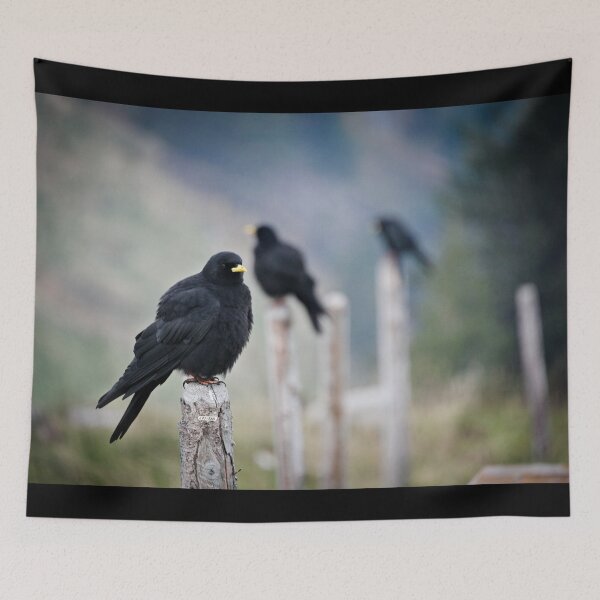Item preview, Three Alpine Choughs – Resilience in the Swiss Alps / Swiss Art Photography designed and sold by Raphael Wolf.