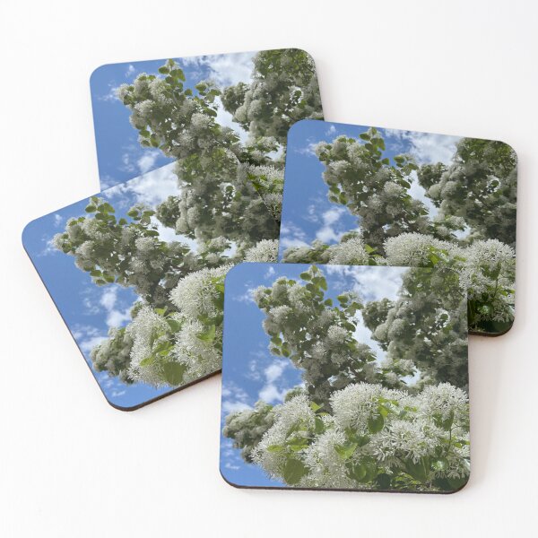 Item preview, White Fringe Tree Blossoms Against Blue Sky designed and sold by royalswin.