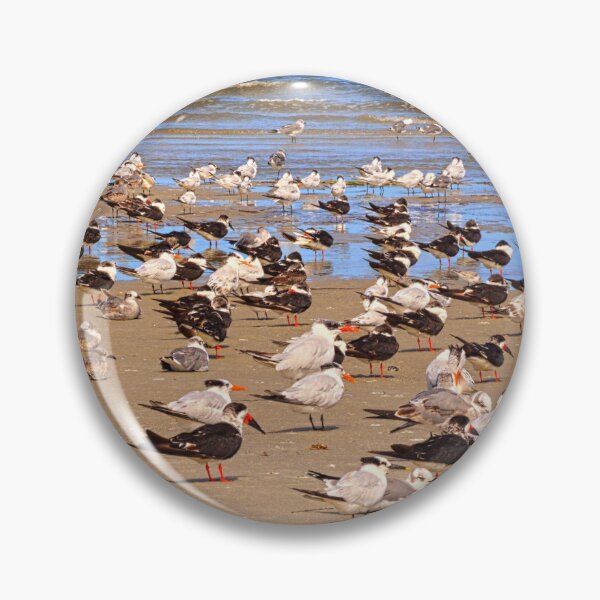 Item preview, Gulls Resting on Hilton Head Beach designed and sold by LisaWootenPhoto.