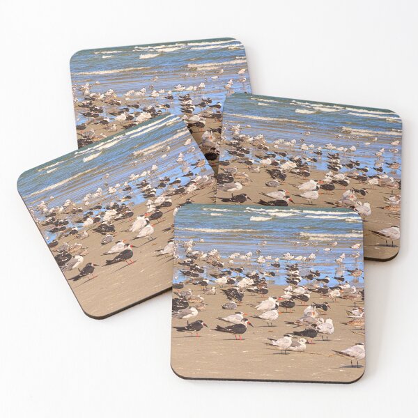 Item preview, Gulls Resting on Hilton Head Beach designed and sold by LisaWootenPhoto.