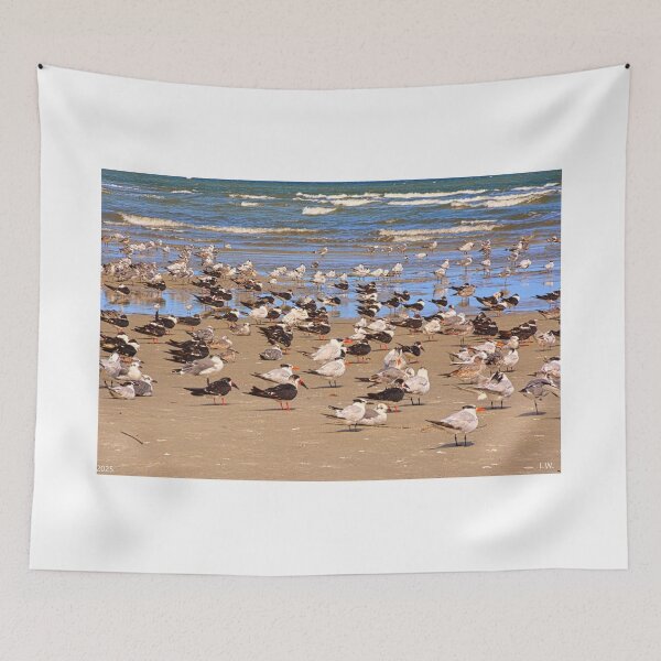 Item preview, Gulls Resting on Hilton Head Beach designed and sold by LisaWootenPhoto.