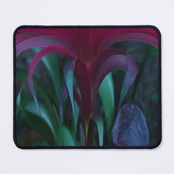 Item preview, Velvet Rain designed and sold by Wayne King.