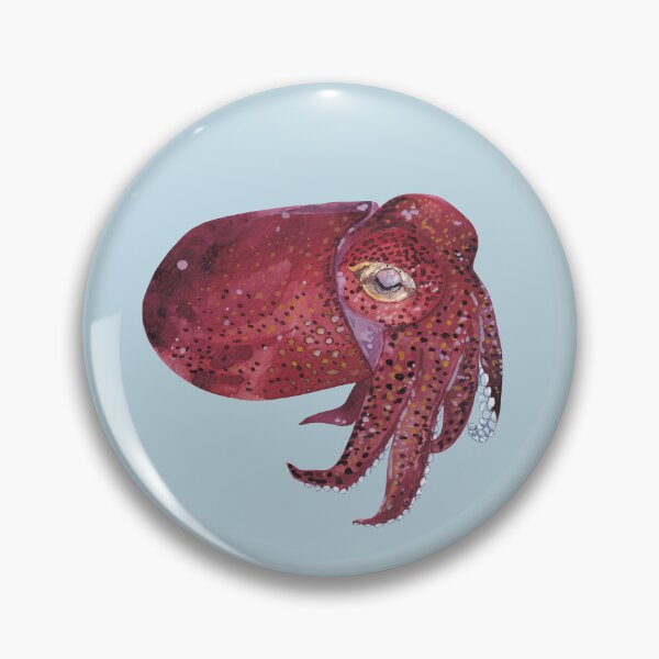Item preview, STUBBY SQUID/BOBTAIL SQUID-Rossia pacifica designed and sold by BEATRIZ ABAITUA.