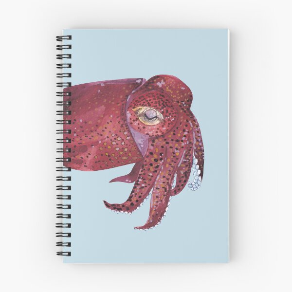Item preview, STUBBY SQUID/BOBTAIL SQUID-Rossia pacifica designed and sold by BEATRIZ ABAITUA.