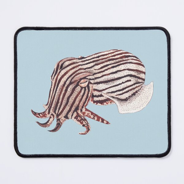 Item preview, PYJAMA SQUID-Sepioloidea lineolata designed and sold by BEATRIZ ABAITUA.