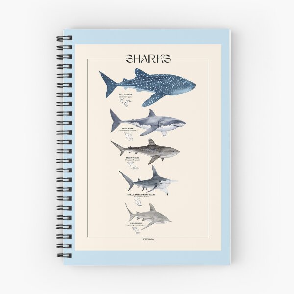 Item preview, SHARKS LENGTH, NAMES AND TEETH-line beige designed and sold by BEATRIZ ABAITUA.